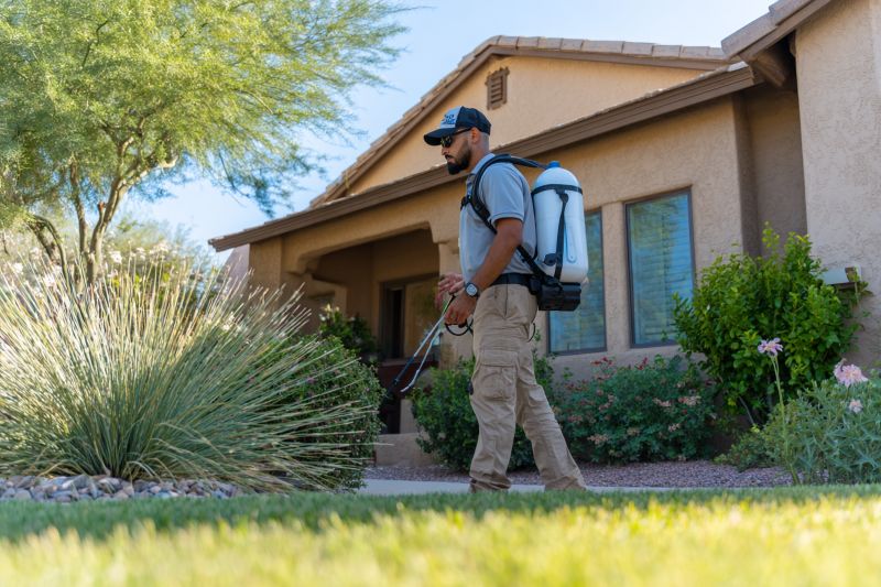 Recommended Pest Control Companies in Tempe AZ Homeowners Trust